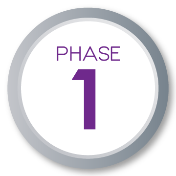 Phase 1