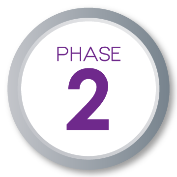 Phase 2