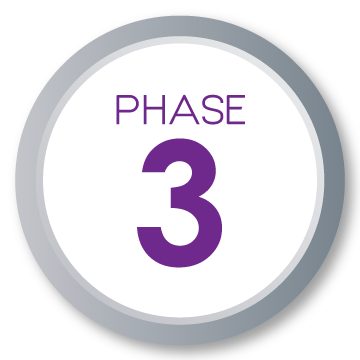 Phase 3