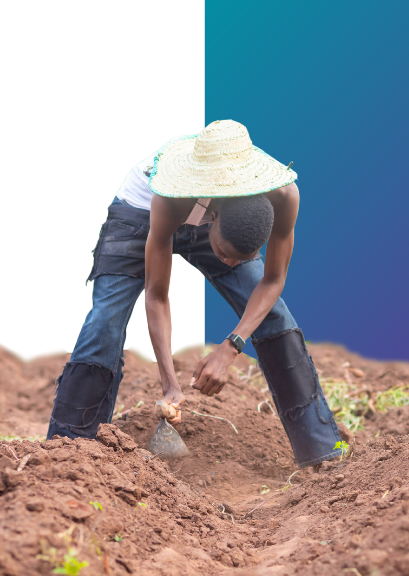 Working soil