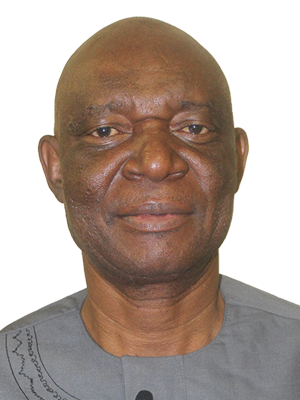 Prof Michael Bukohwo Esiefarienrhe