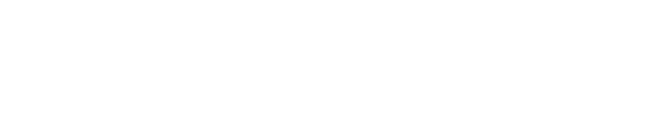 We build an inclusive university community that embraches differences and respects the rights and dignity of its memb   