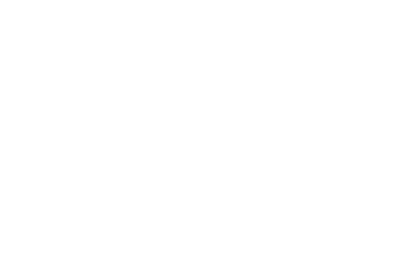 We display and maintain a commitment to integrity, being honest and treating all people in a fair and consistent manner 