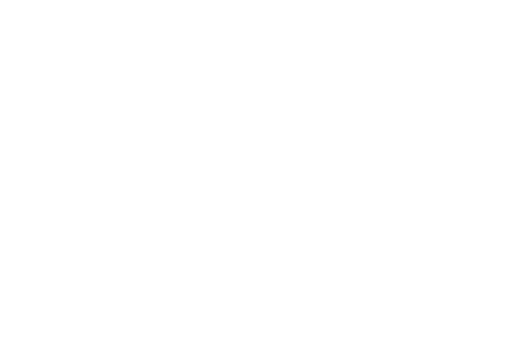 We build an inclusive university community that embraches differences and respects the rights and dignity of its memb   