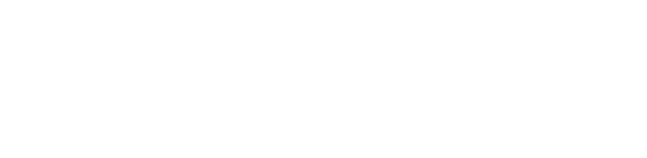 Embracing diversity