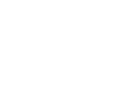 We promote and protect freedom of thought and expression through teaching and learning and research 