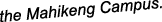 Polygon