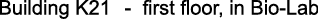Polygon