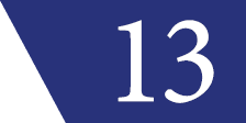 13