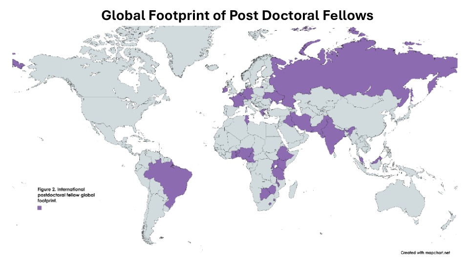International footprint